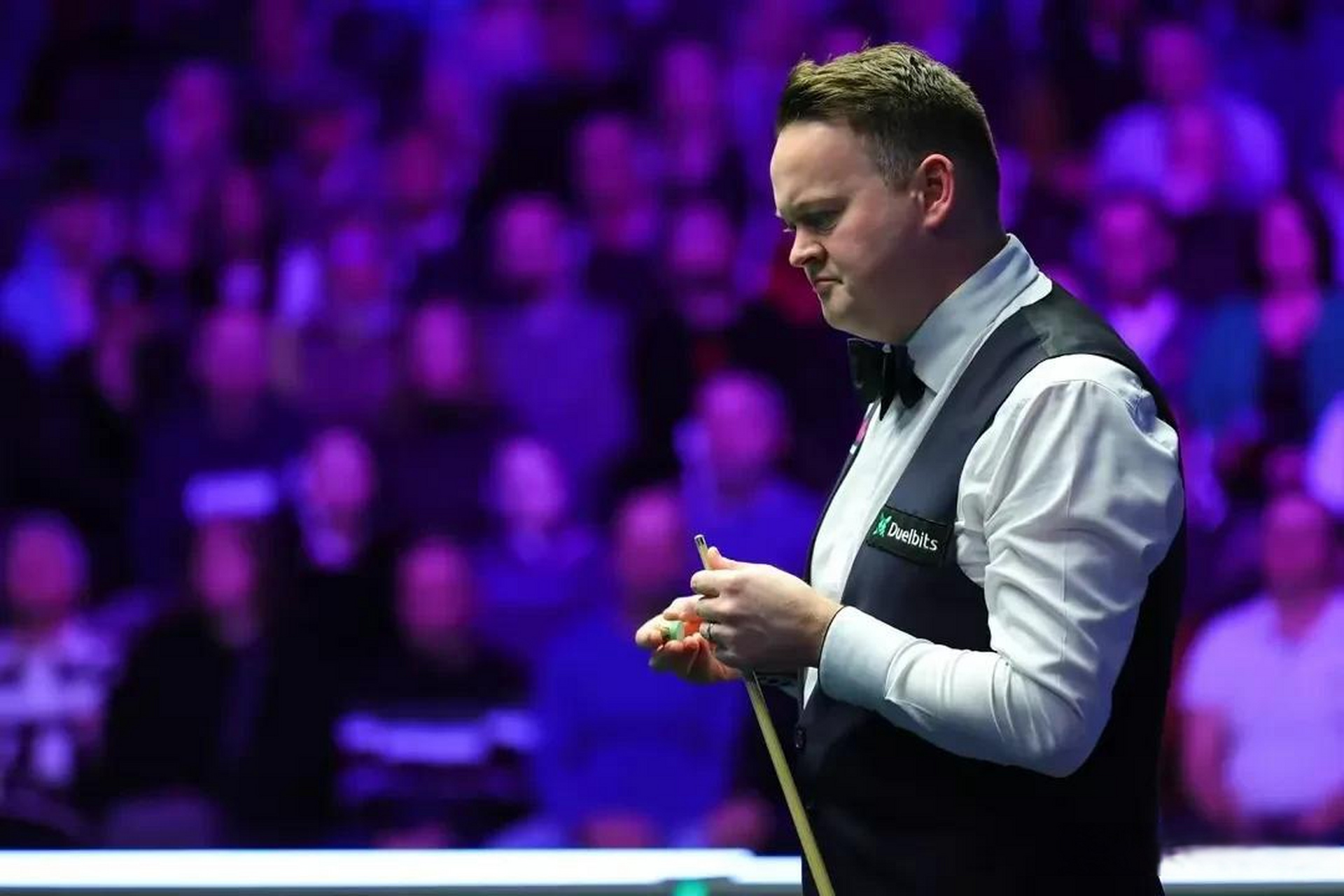 维罗纳防线 维罗纳防线