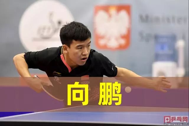 引进墨菲 引进墨菲